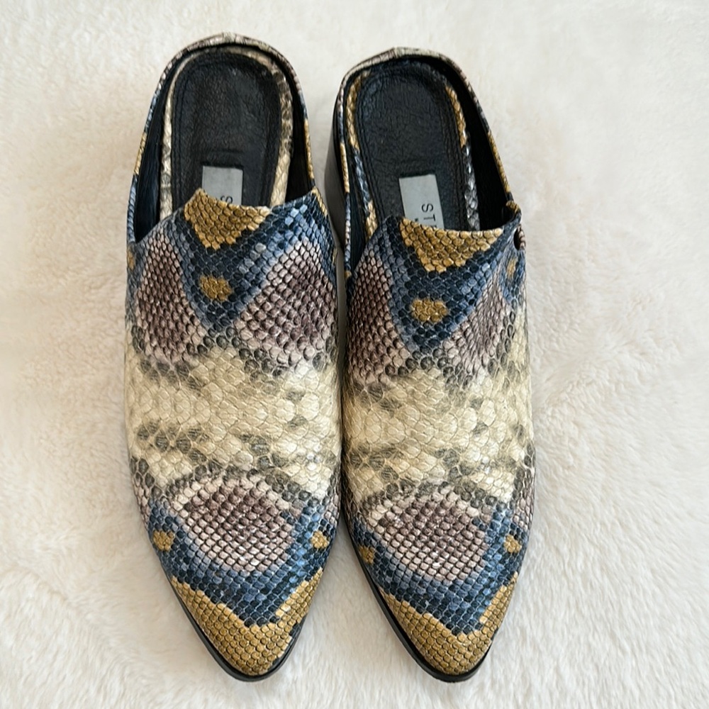 Snake-Print Pointed Mule in Multicolor